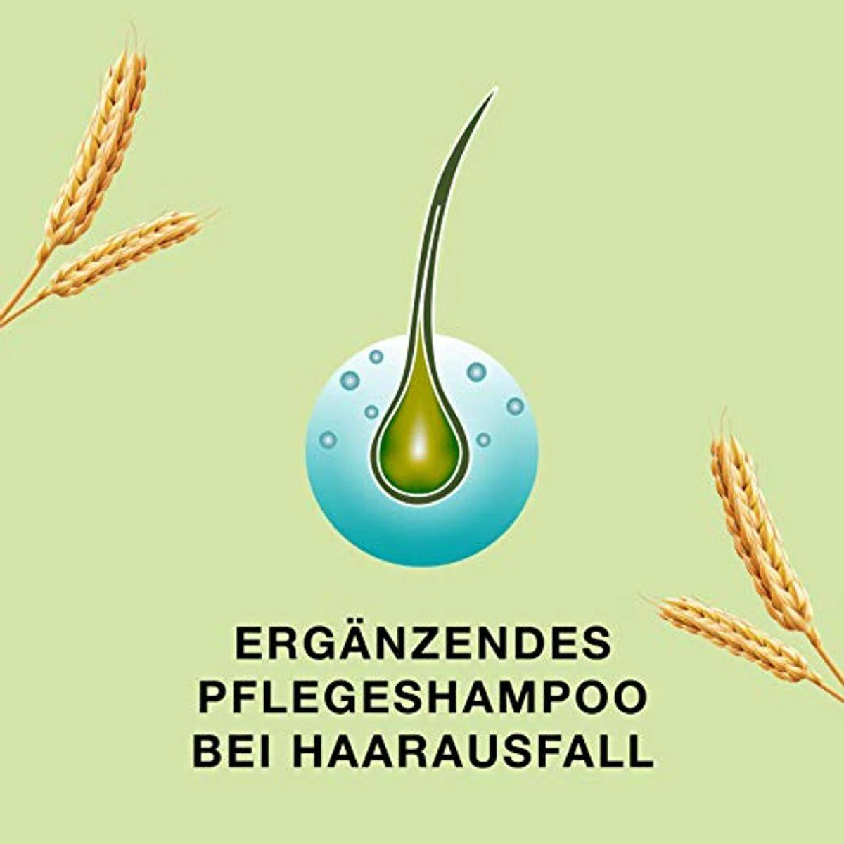 Priorin Shampoo For Normal & Dry Hair 200ml - Image 2