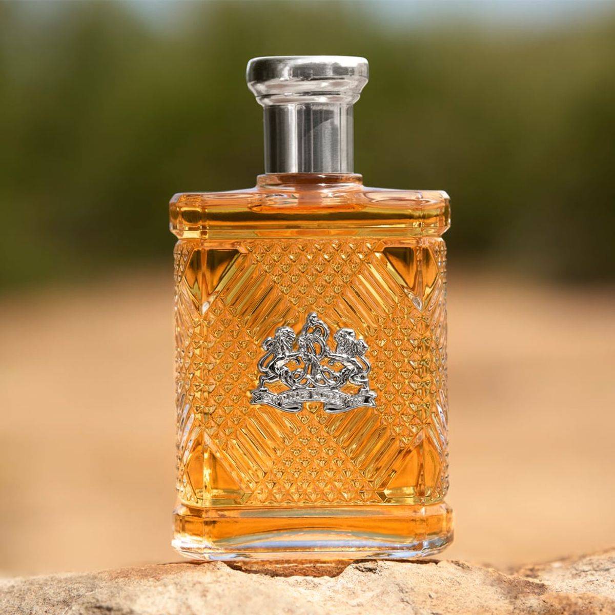 Ralph Lauren Safari For Men Eau de Toilette 125ml - Image 2