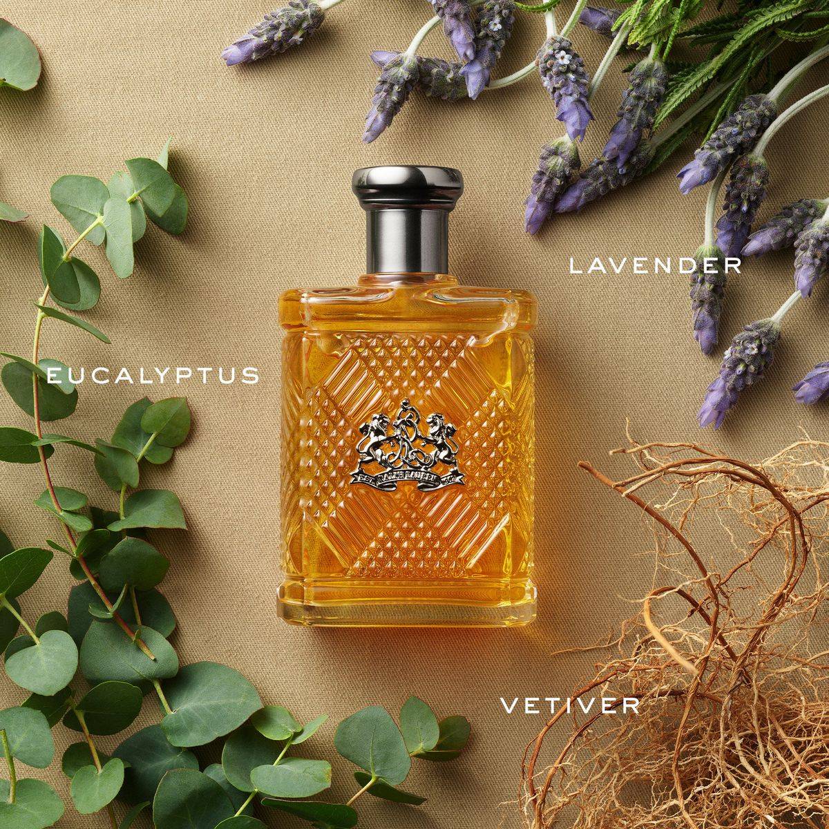 Ralph Lauren Safari For Men Eau de Toilette 125ml - Image 4