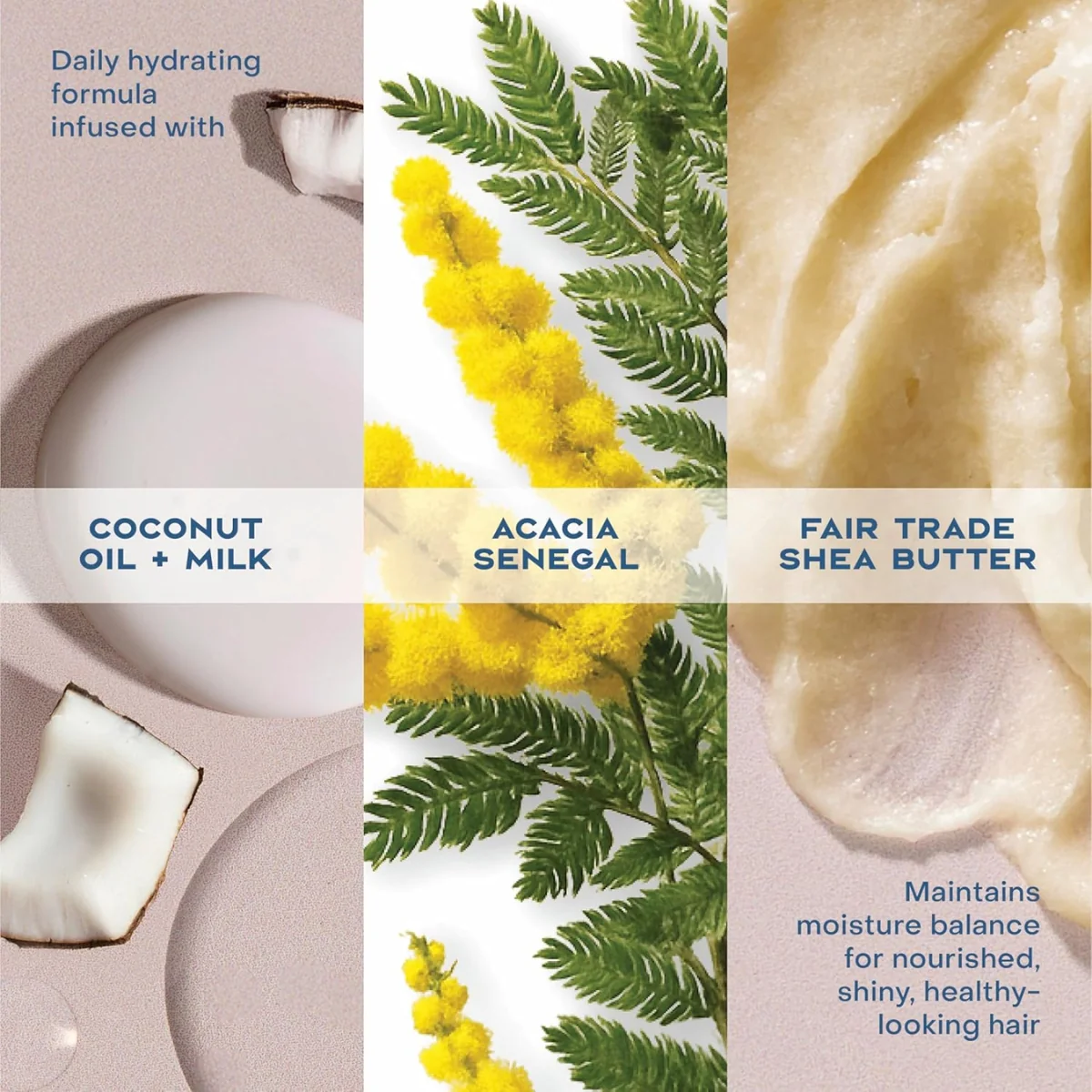 Shea Moisture 100% Virgin Coconut Oil Daily Hydration Conditioner 384ml - Image 2