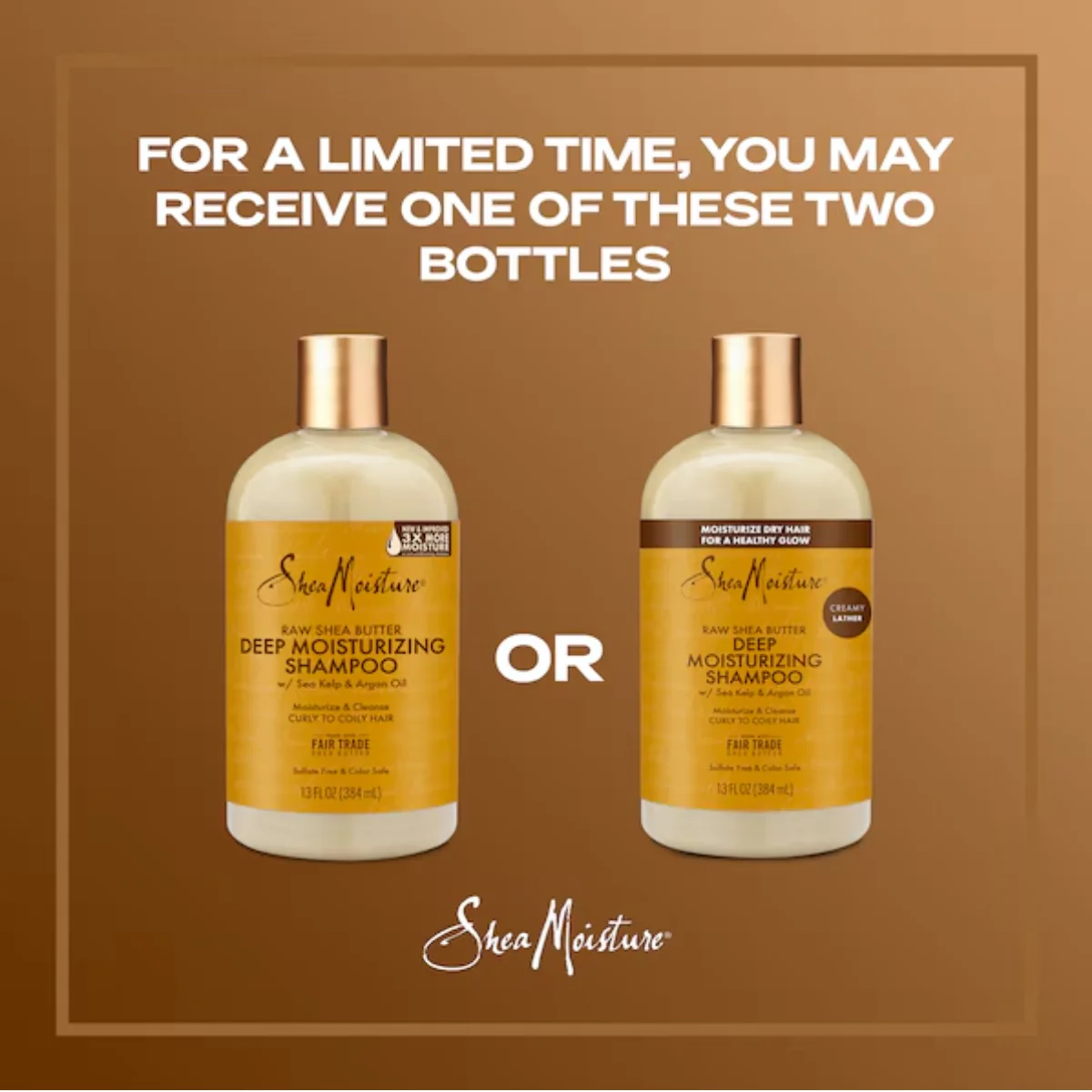 Shea Moisture Raw Shea Butter Deep Moisturizing Shampoo 384ml - Image 4