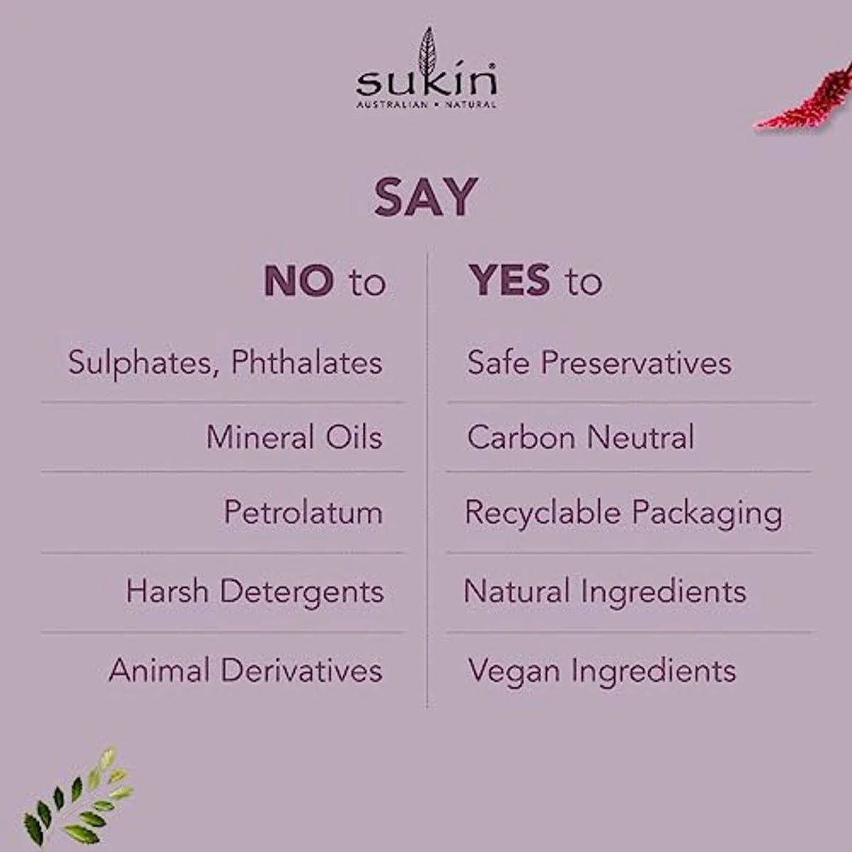 Sukin Purely Ageless Rejuvenating Day Cream 120ml - Image 2