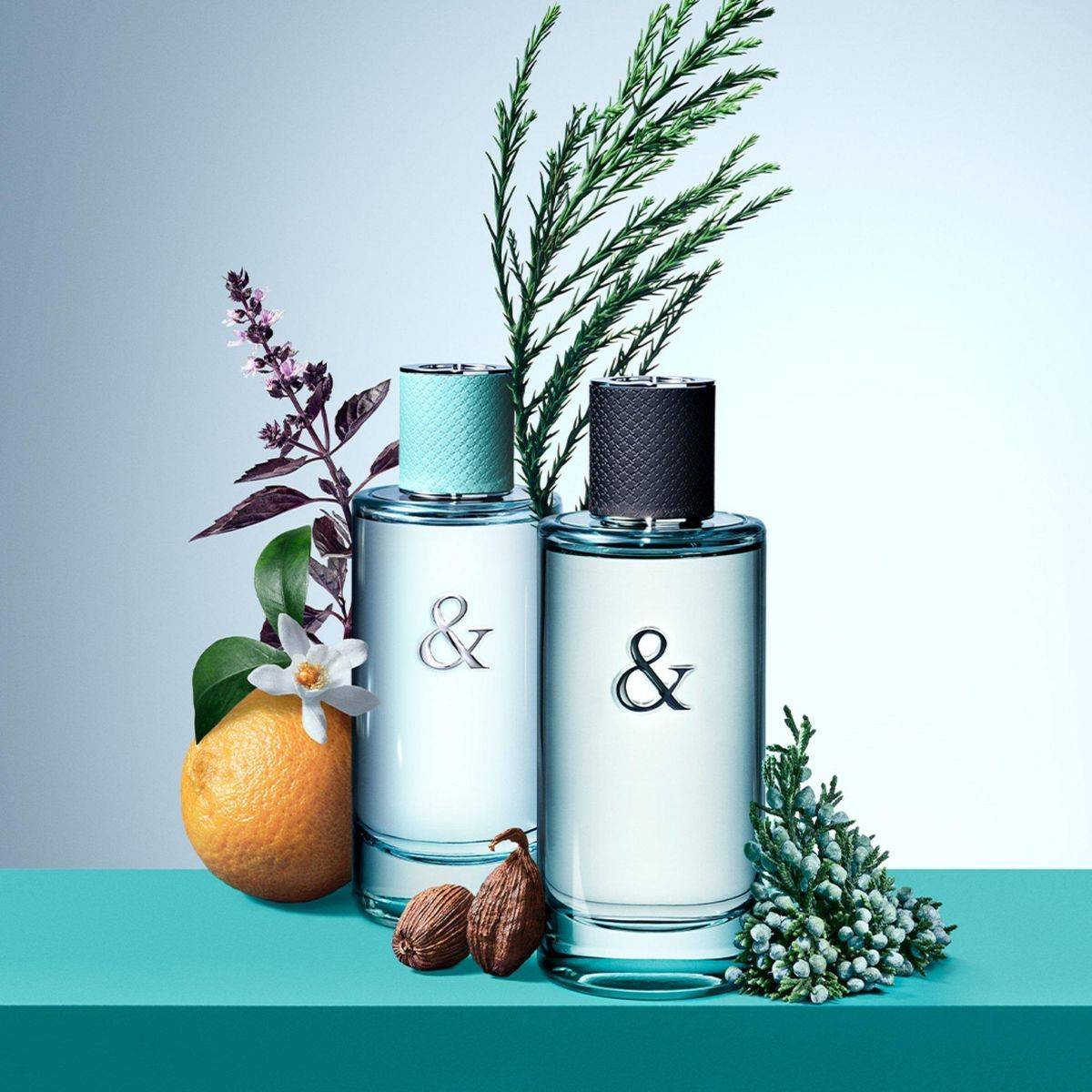 Tiffany & Co. Love For Her Eau de Parfum 90ml - Image 4