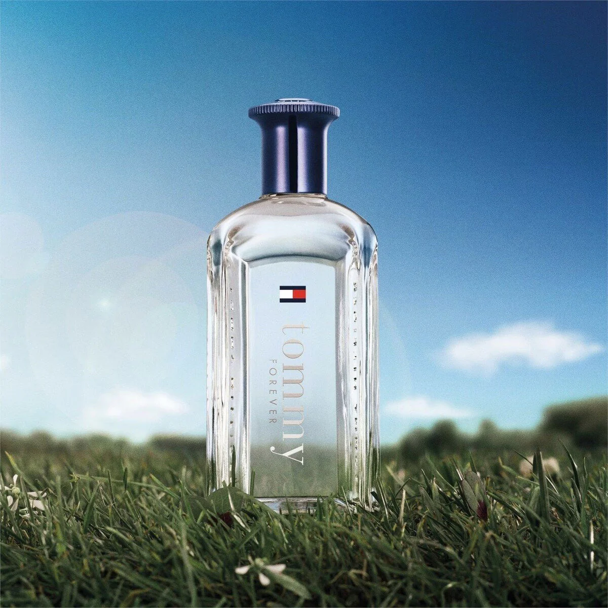 Tommy Hilfiger Tommy Forever Eau de Toilette 50ml - Image 3