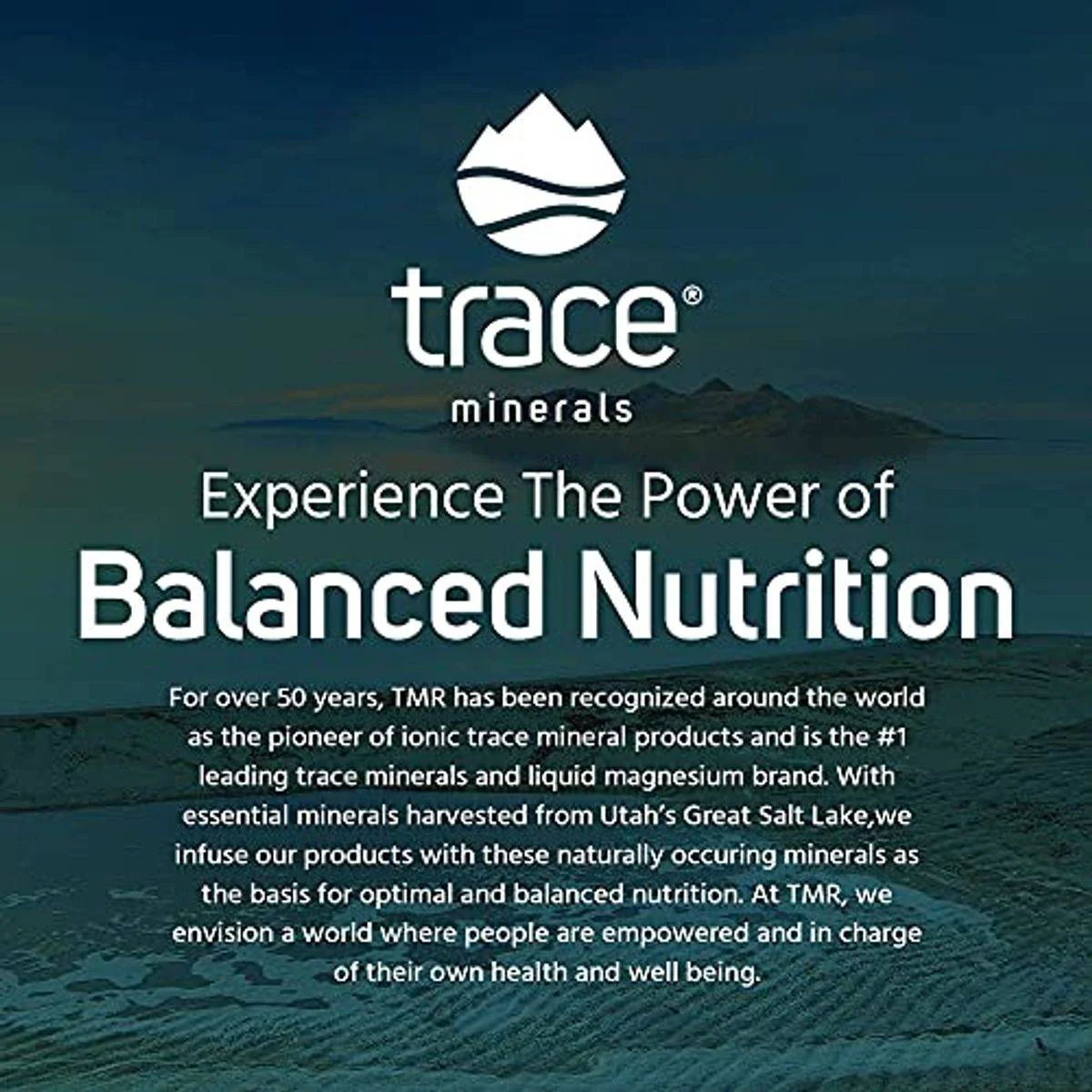 Trace Minerals 40,000 Volts 1,000mg+ Electrolyte Concentrate Drops 237ml - Image 2