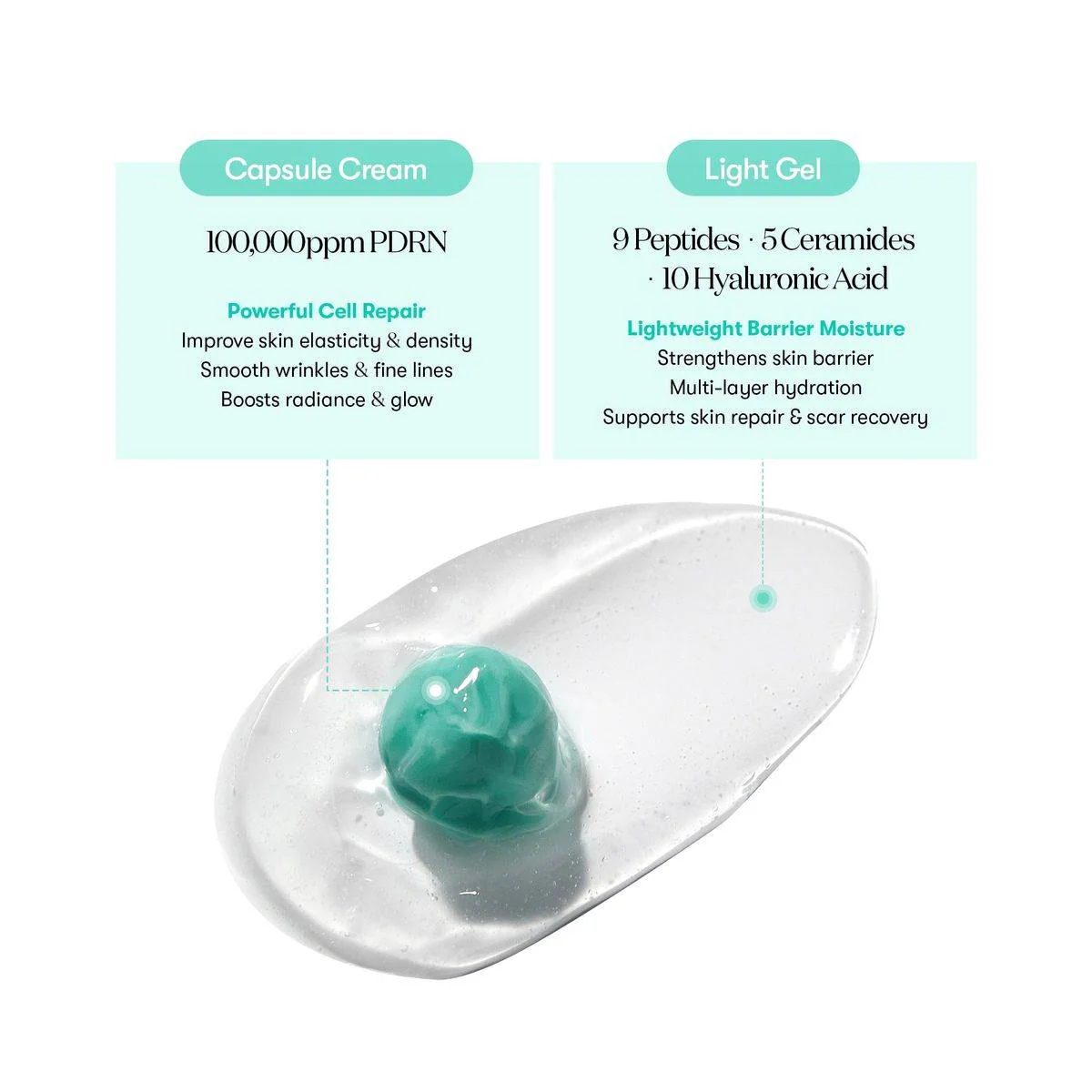 VT Cosmetics PDRN Capsule Cream 100 50ml - Image 5